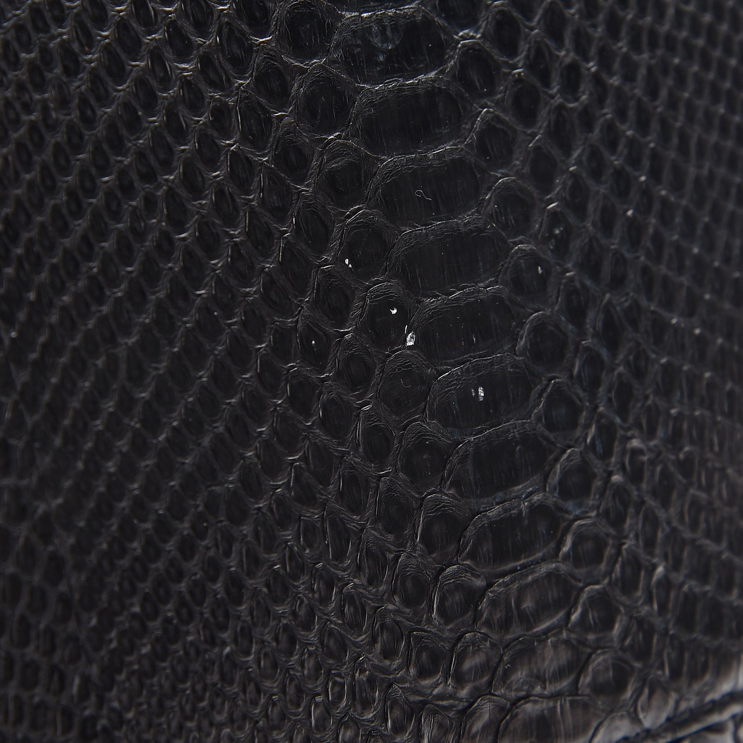 Python Medium Phantom Luggage Black