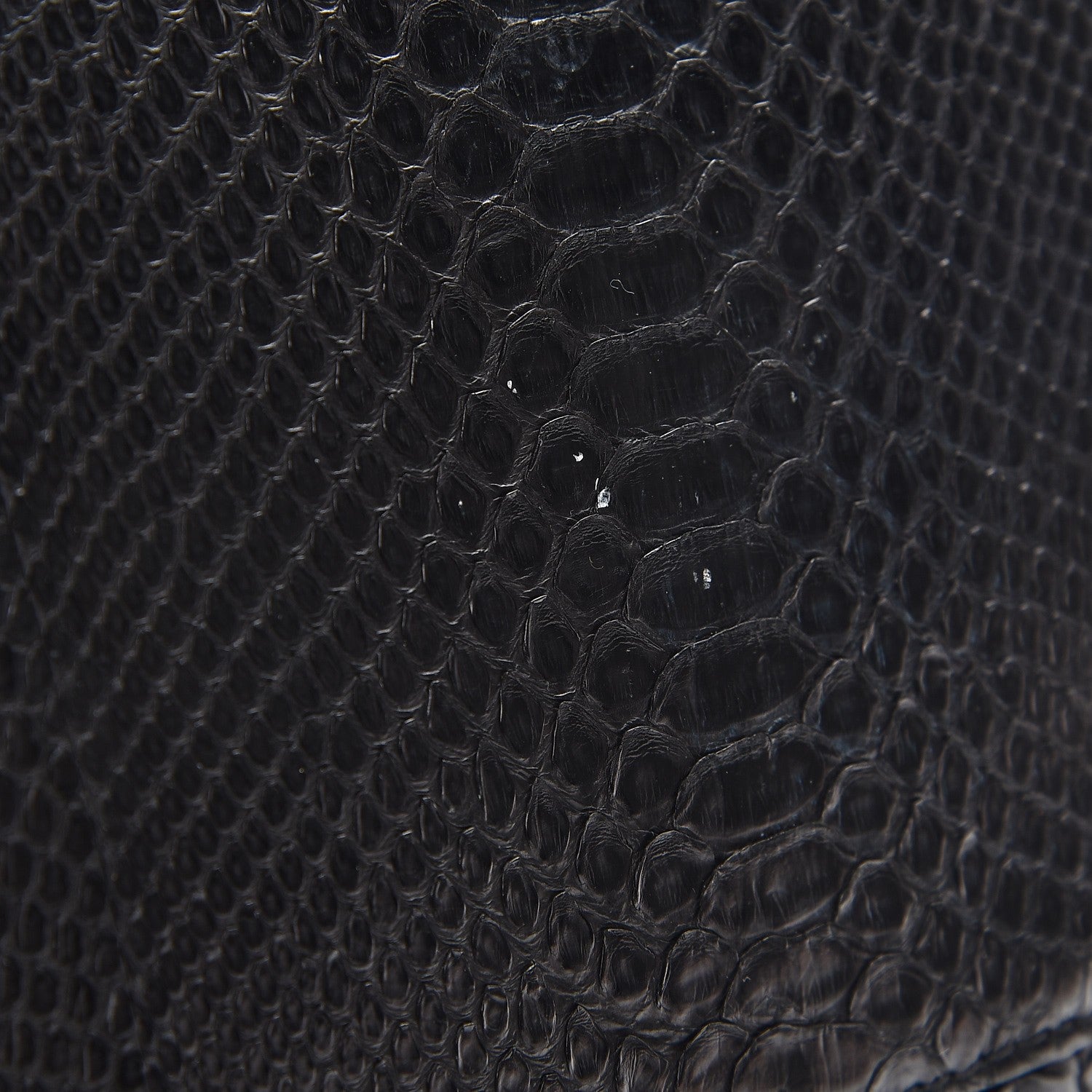 Celine Python Medium Phantom Luggage Black 10 of 11