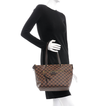 Louis Vuitton Damier Ebene Iena PM 2 of 9