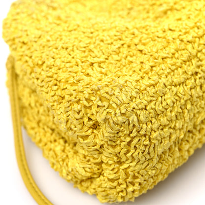 Bottega Veneta Boucle Curly Raffia The Mini Pouch Mirabelle 10 of 15