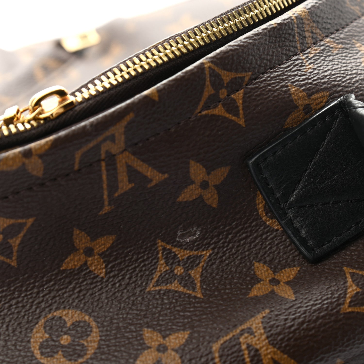Louis Vuitton Monogram Palm Springs Backpack MM 5 of 10