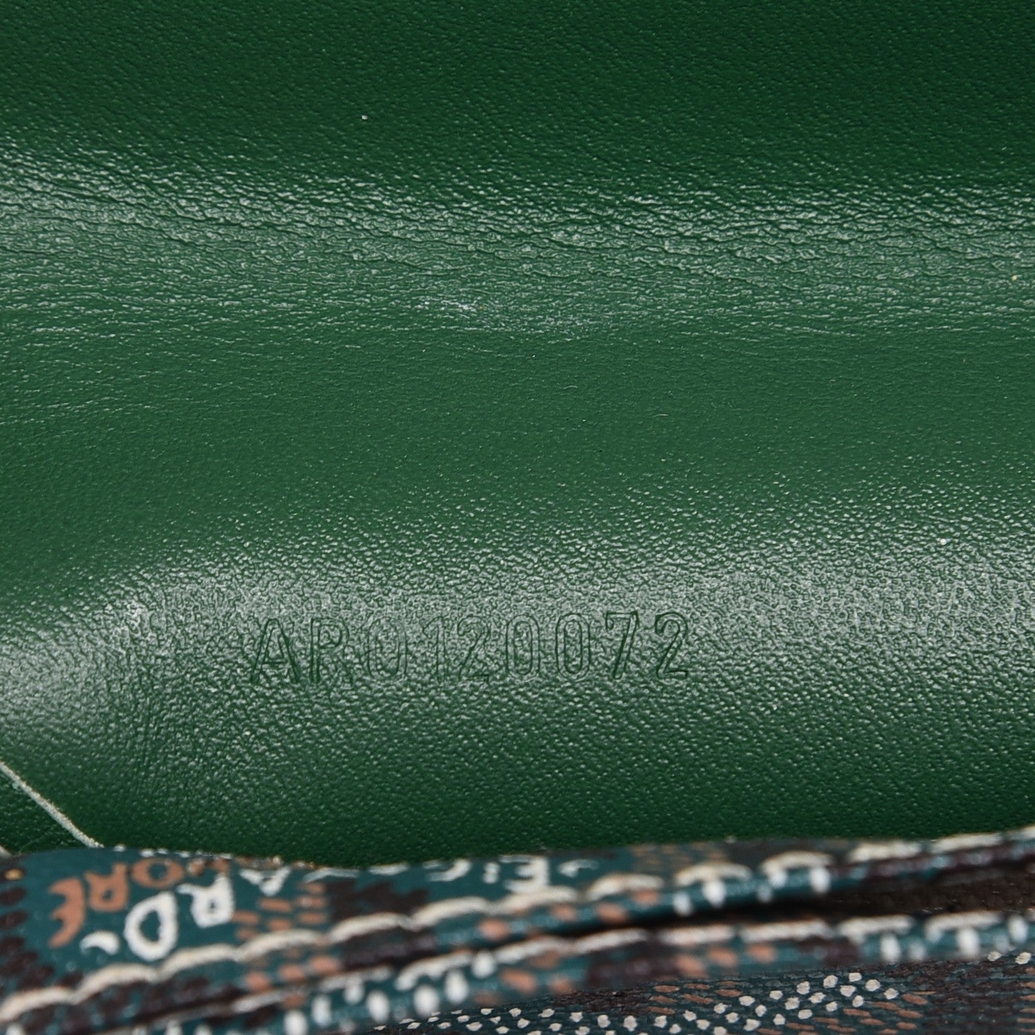 Goyard Goyardine Saint Louis PM Green 8 of 16