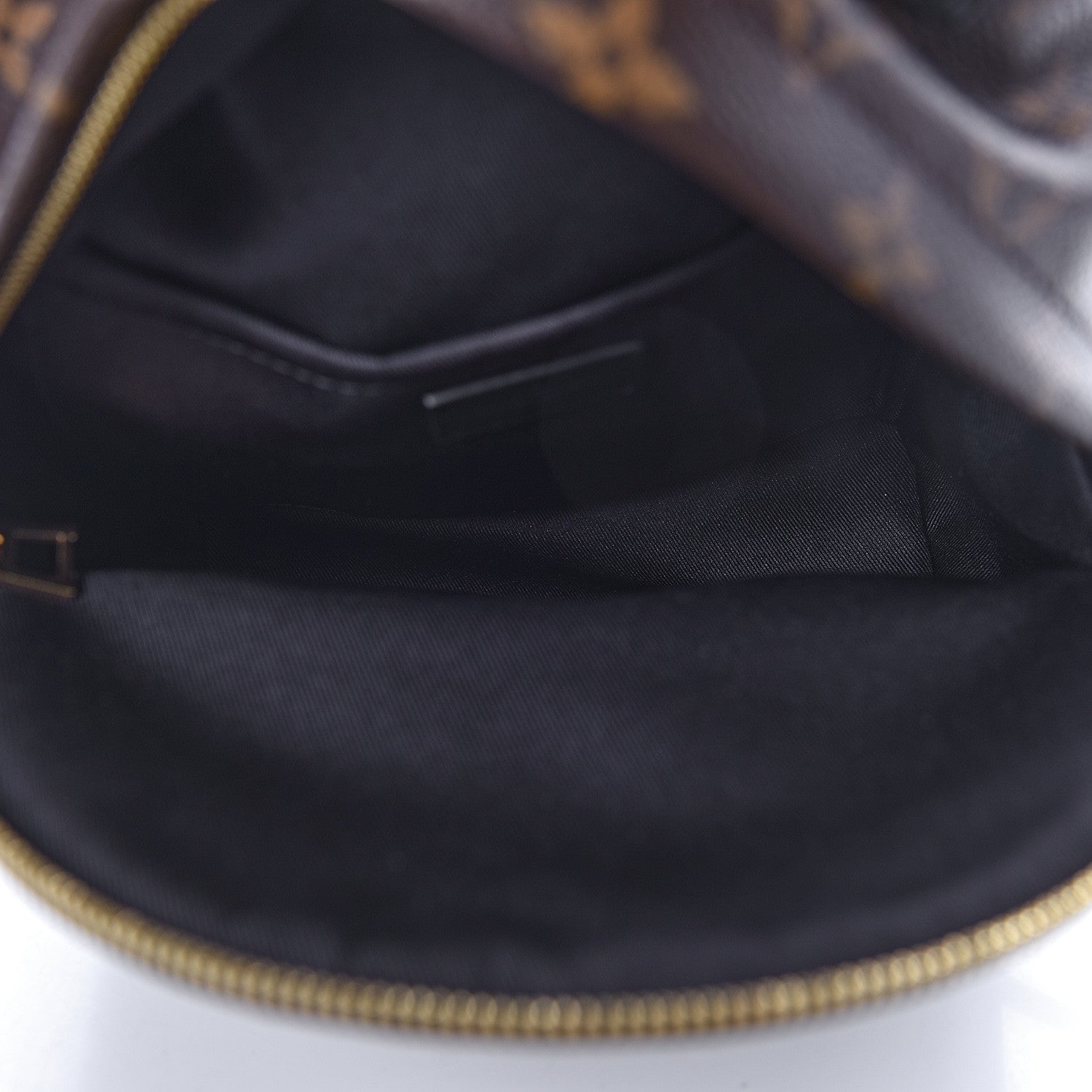 Louis Vuitton Monogram Palm Springs Backpack PM 5 of 11
