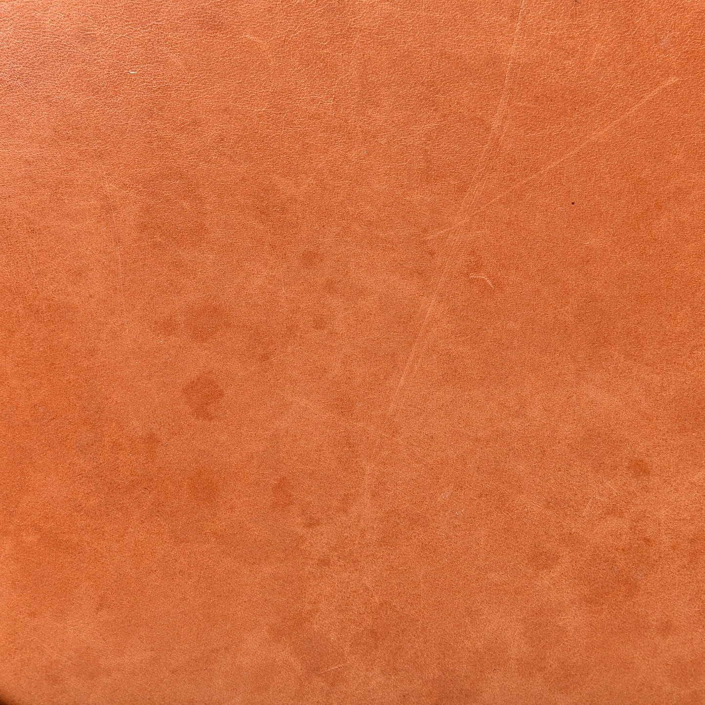 Monogram Petit Noe