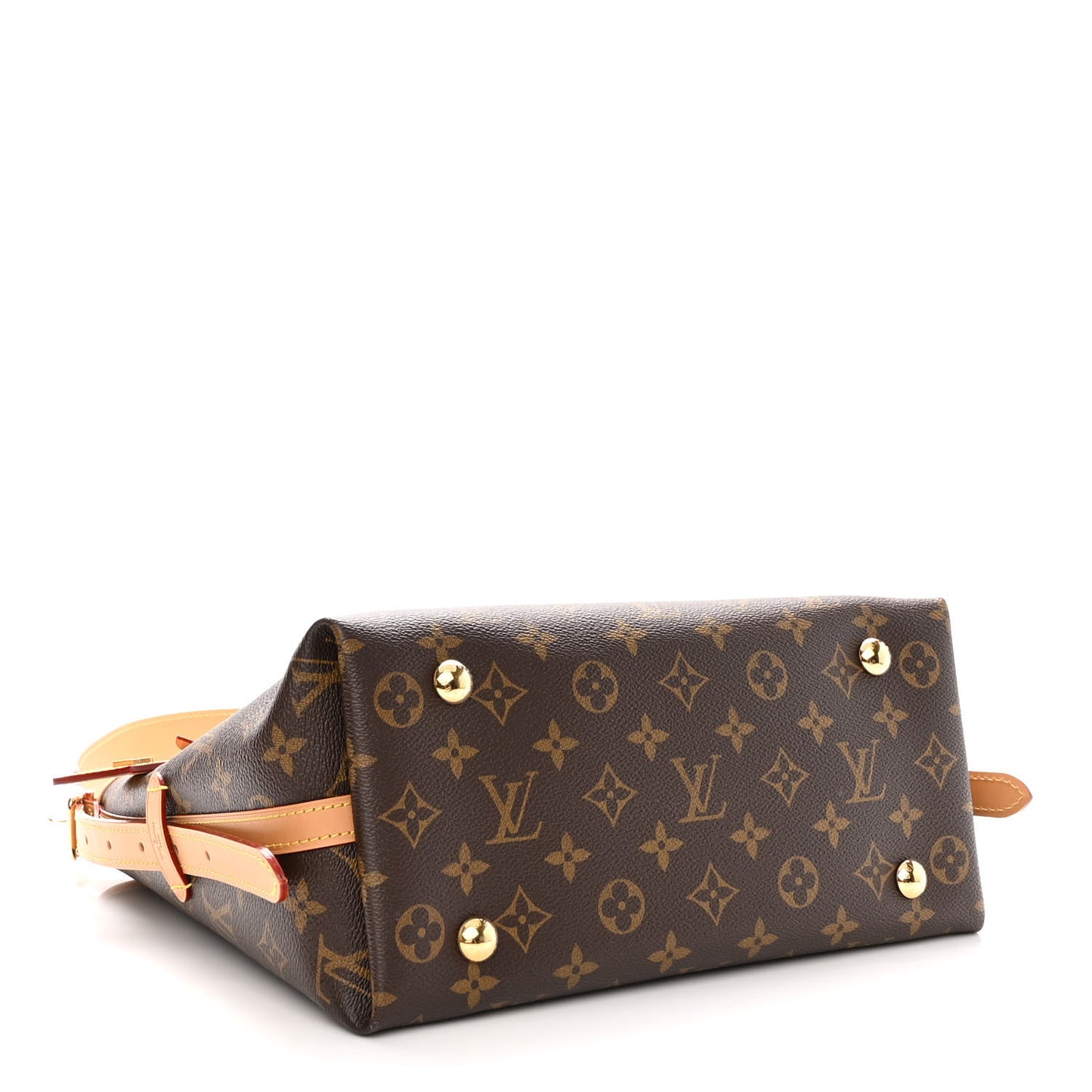 Monogram CarryAll PM