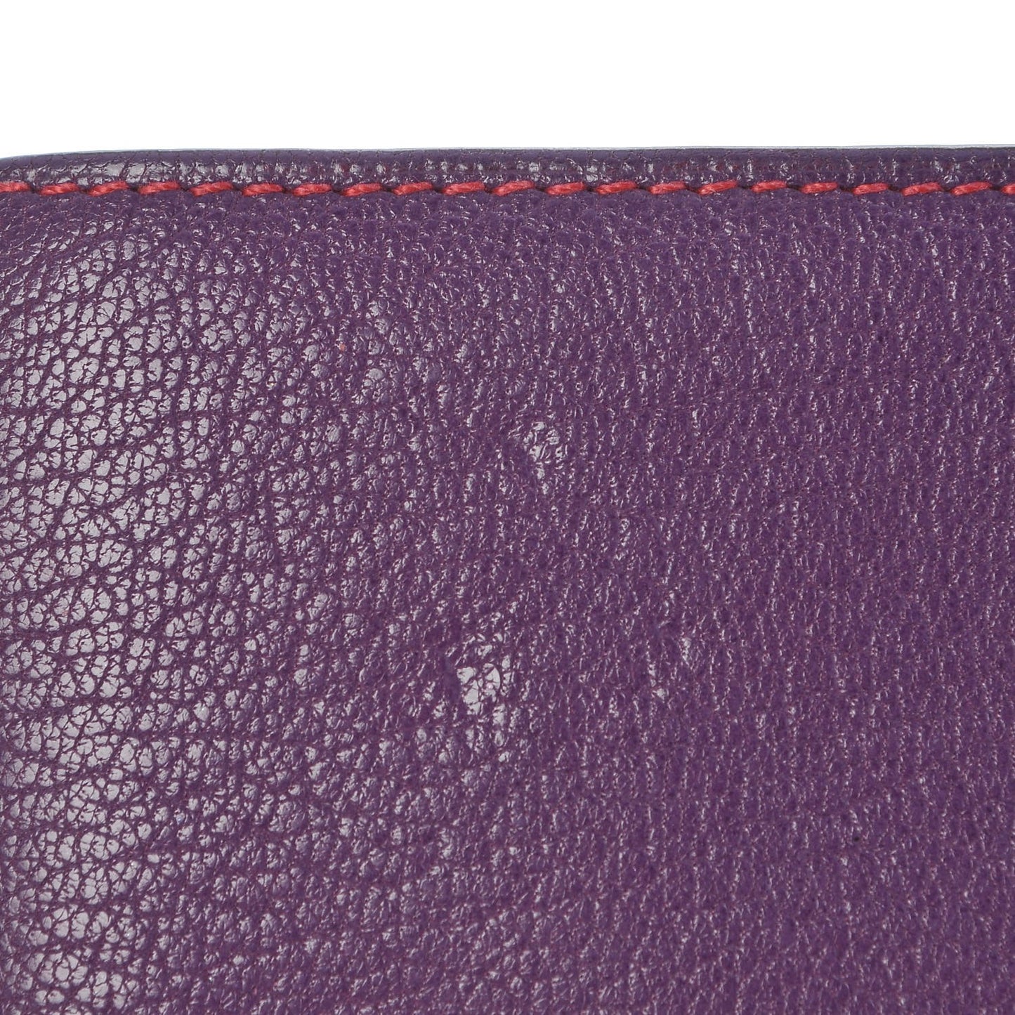 Chevre Mysore Bi Color Vision Agenda Violet Rose Shocking