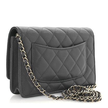 Chanel Caviar Quilted Wallet on Chain WOC Grey 3 of 14
