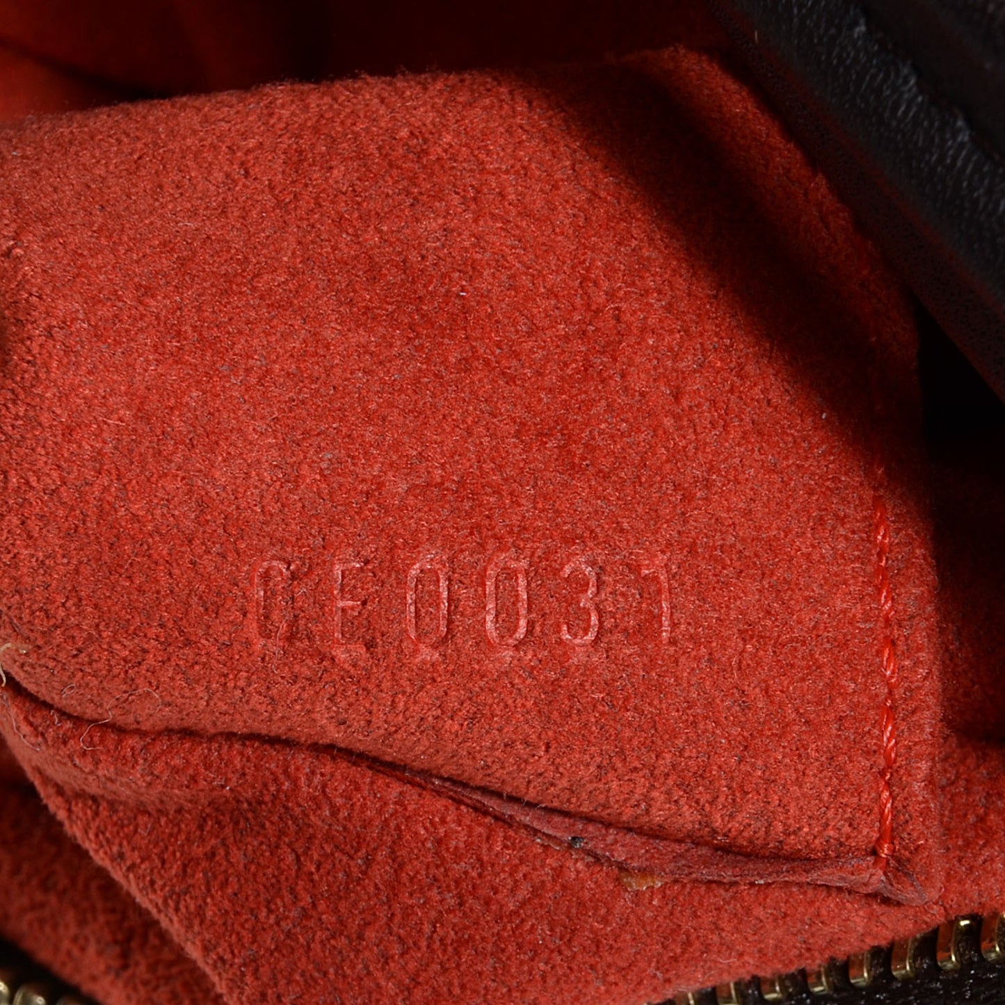 Damier Sauvage Tigre