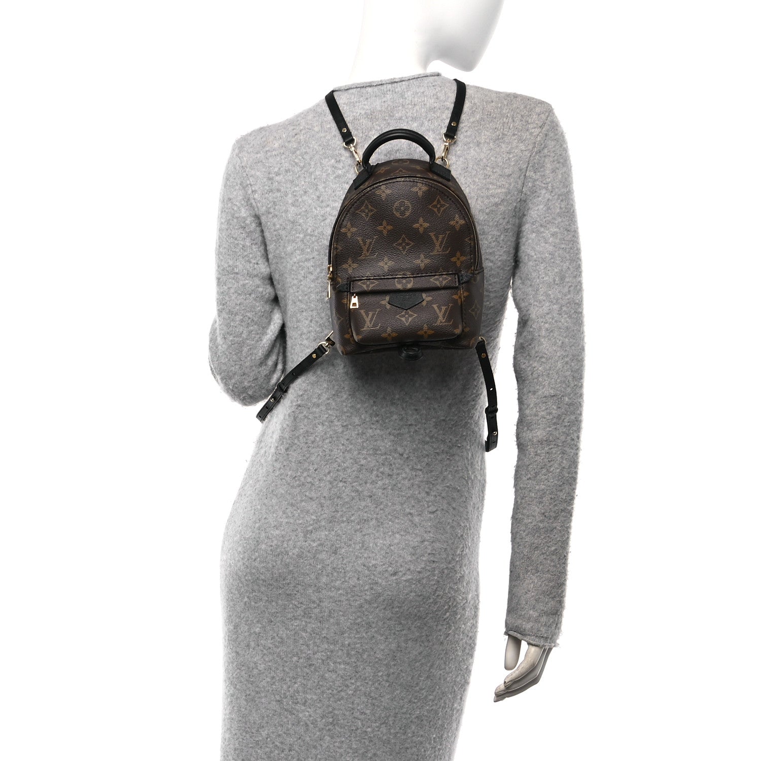 Louis Vuitton Monogram Palm Springs Backpack Mini 2 of 10