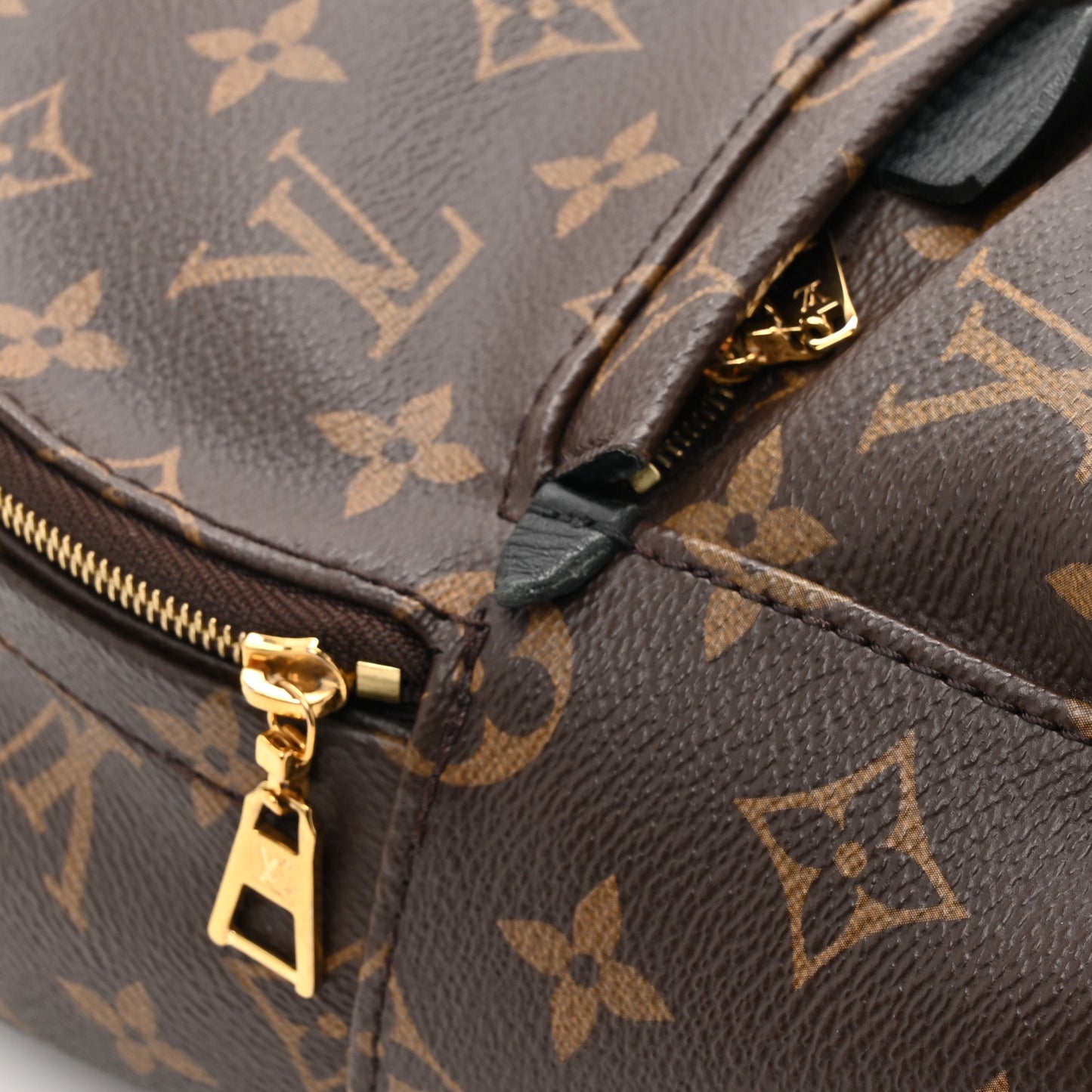 Monogram Palm Springs Backpack Mini