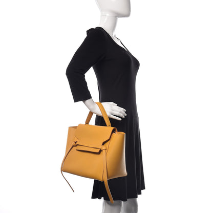 Celine Grained Calfskin Mini Belt Bag Imperial 2 of 13