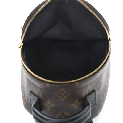 Louis Vuitton Monogram Palm Springs Backpack Mini 5 of 11