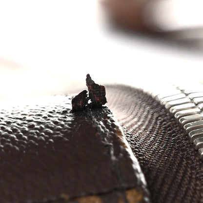 Louis Vuitton Monogram Horizon 70 13 of 16
