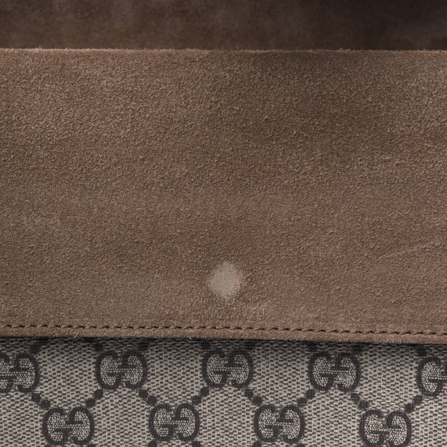 Gucci GG Supreme Monogram Small Dionysus Shoulder Bag Taupe 5 of 5