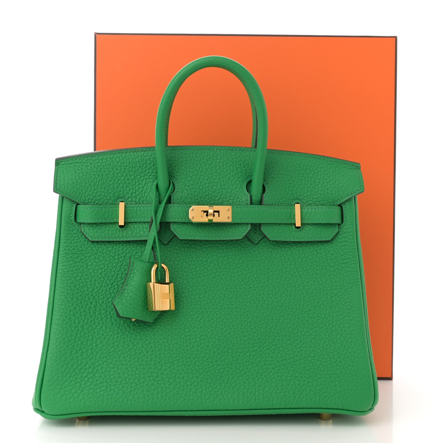 Hermes Togo Birkin 25 Bambou 12 of 12