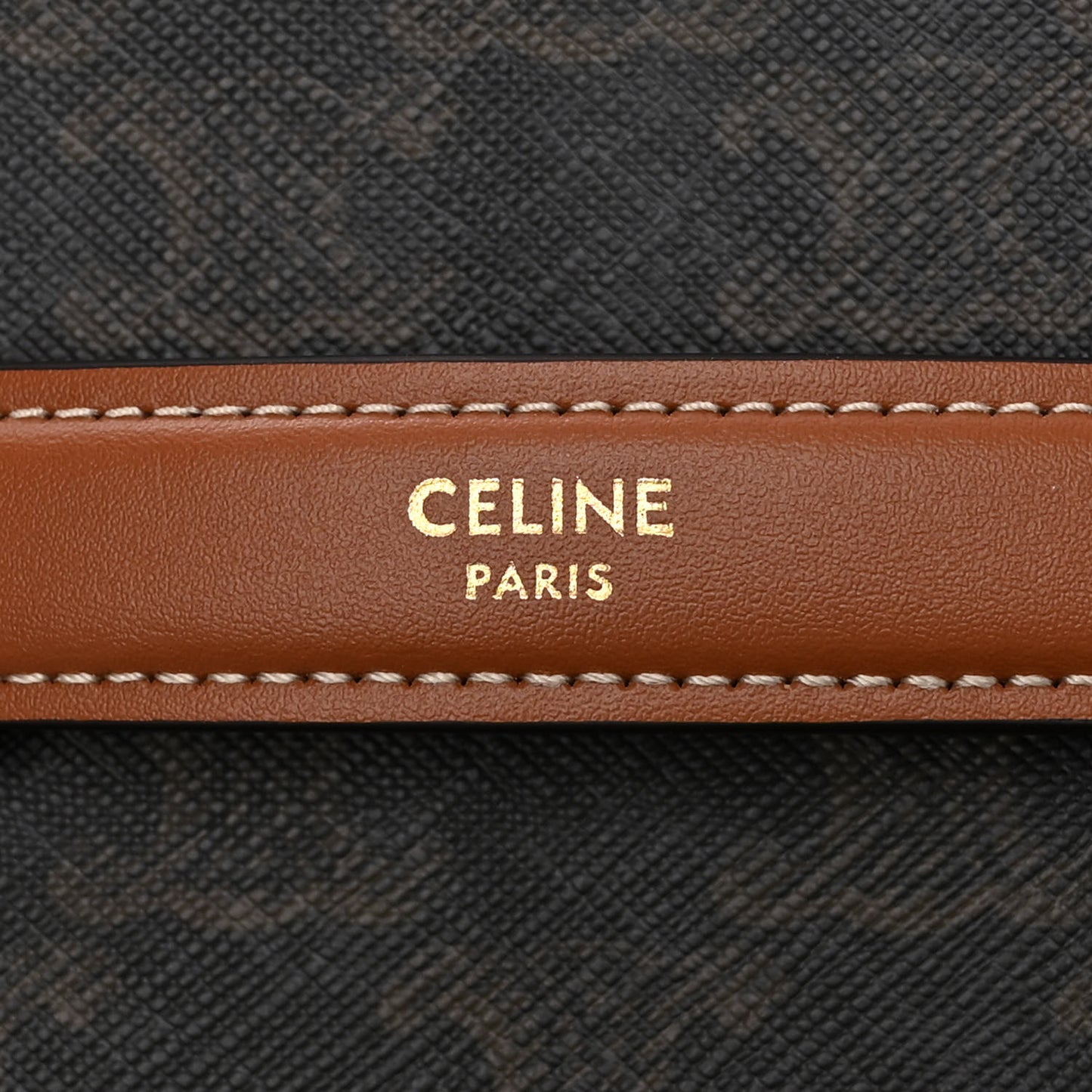 Triomphe Canvas Calfskin Vanity Case Tan