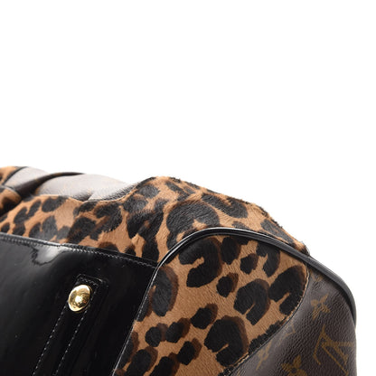 Louis Vuitton Monogram Leopard Stephen Bag 11 of 12