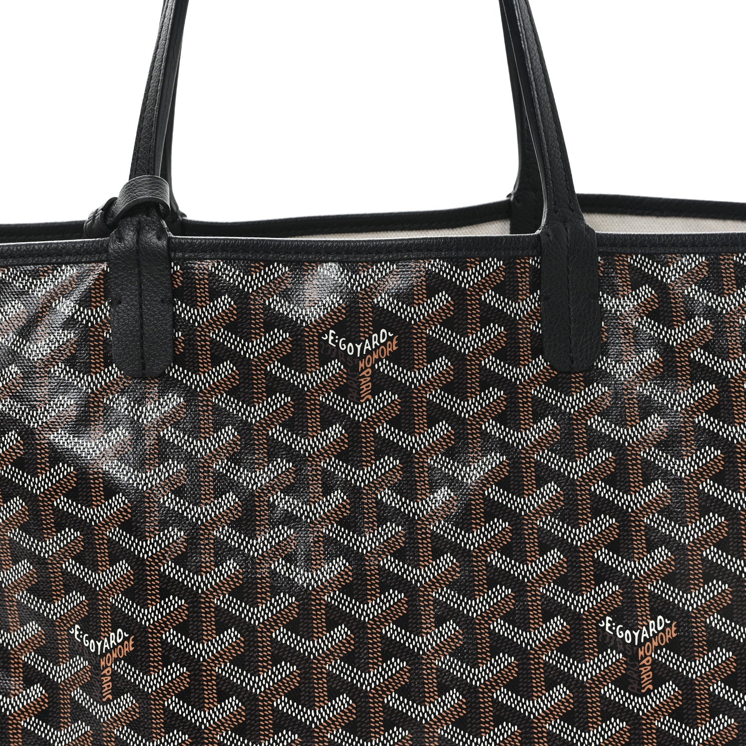 Goyard Goyardine Saint Louis PM Black 7 of 10