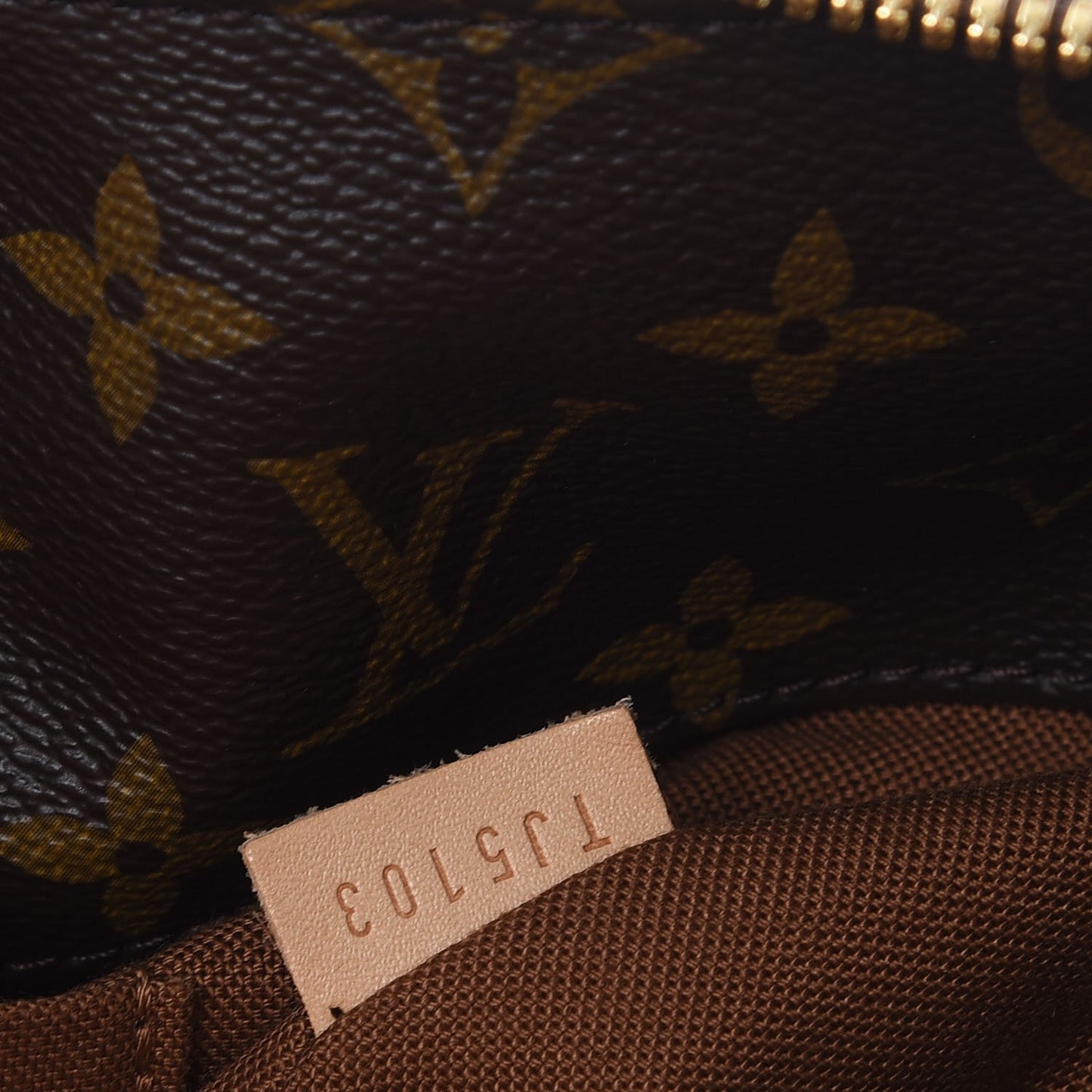 Monogram Sully MM