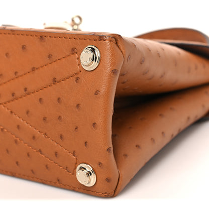Louis Vuitton Ostrich Rose Des Vents PM Cognac 10 of 11