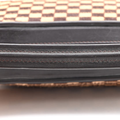 Louis Vuitton Calf Hair Damier Sauvage Tigre 14 of 15