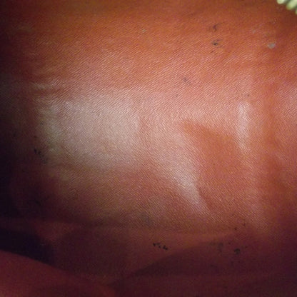 Louis Vuitton Damier Ebene Papillon 30 6 of 9