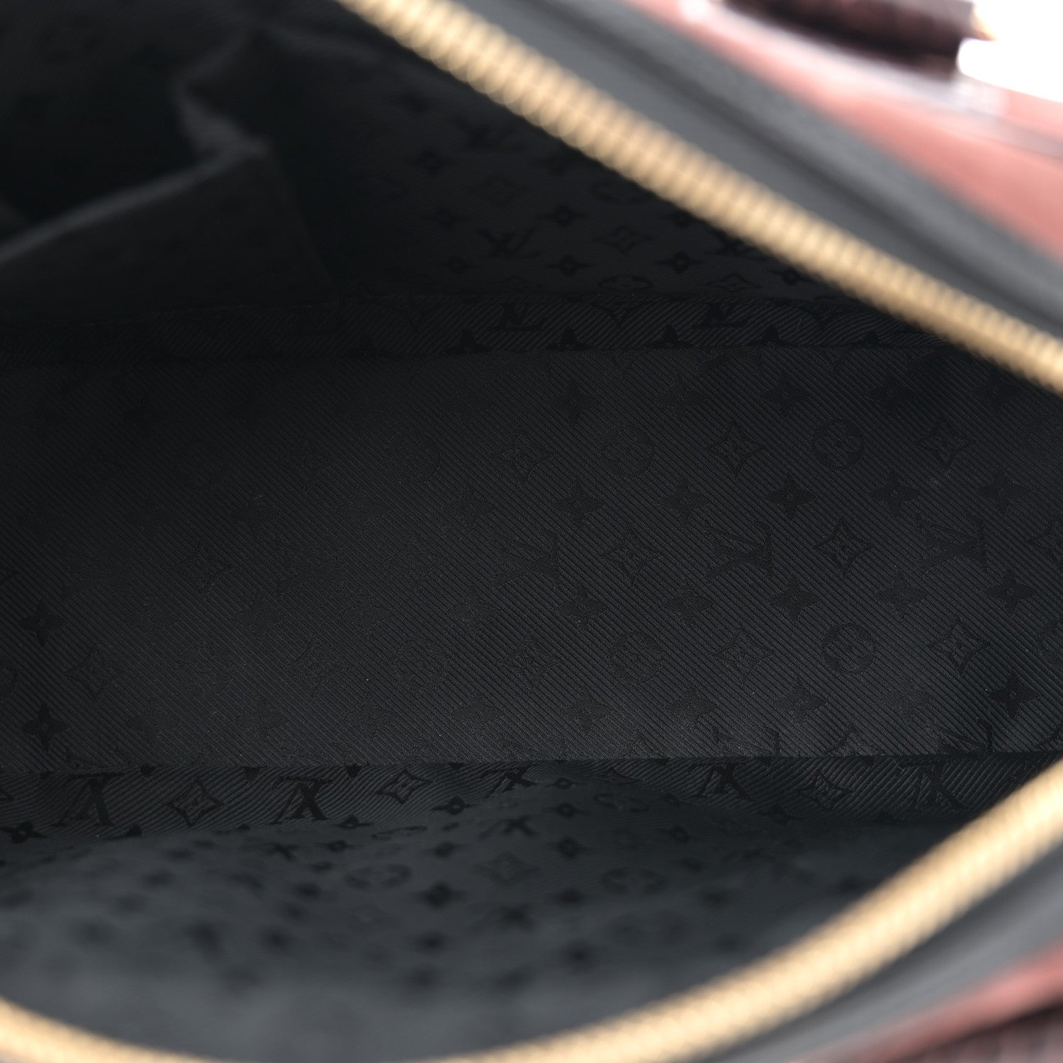 Louis Vuitton Suede Stamped Alligator Embossed Havane Bowler PM  Brun 4 of 11