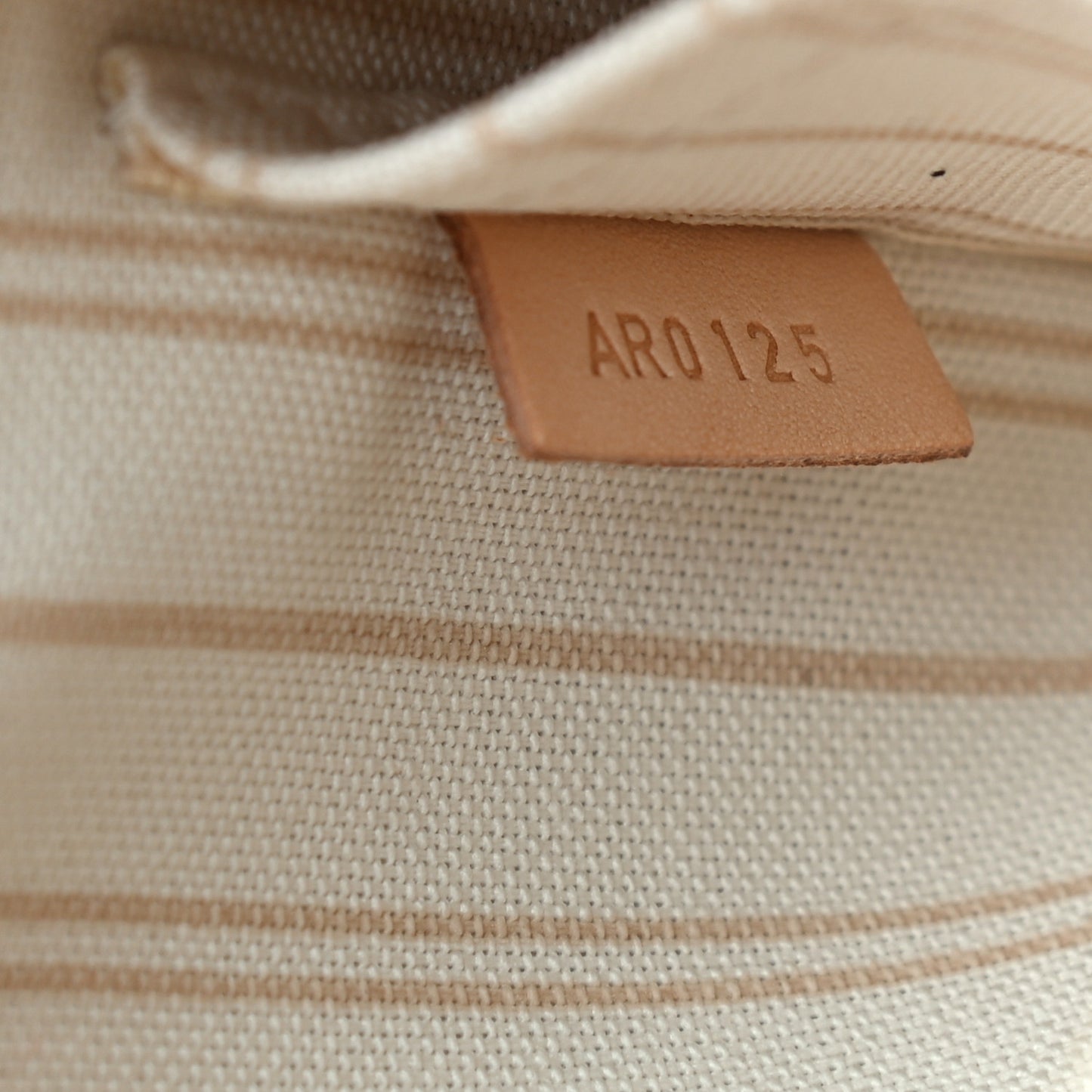Damier Azur Neverfull PM Pochette
