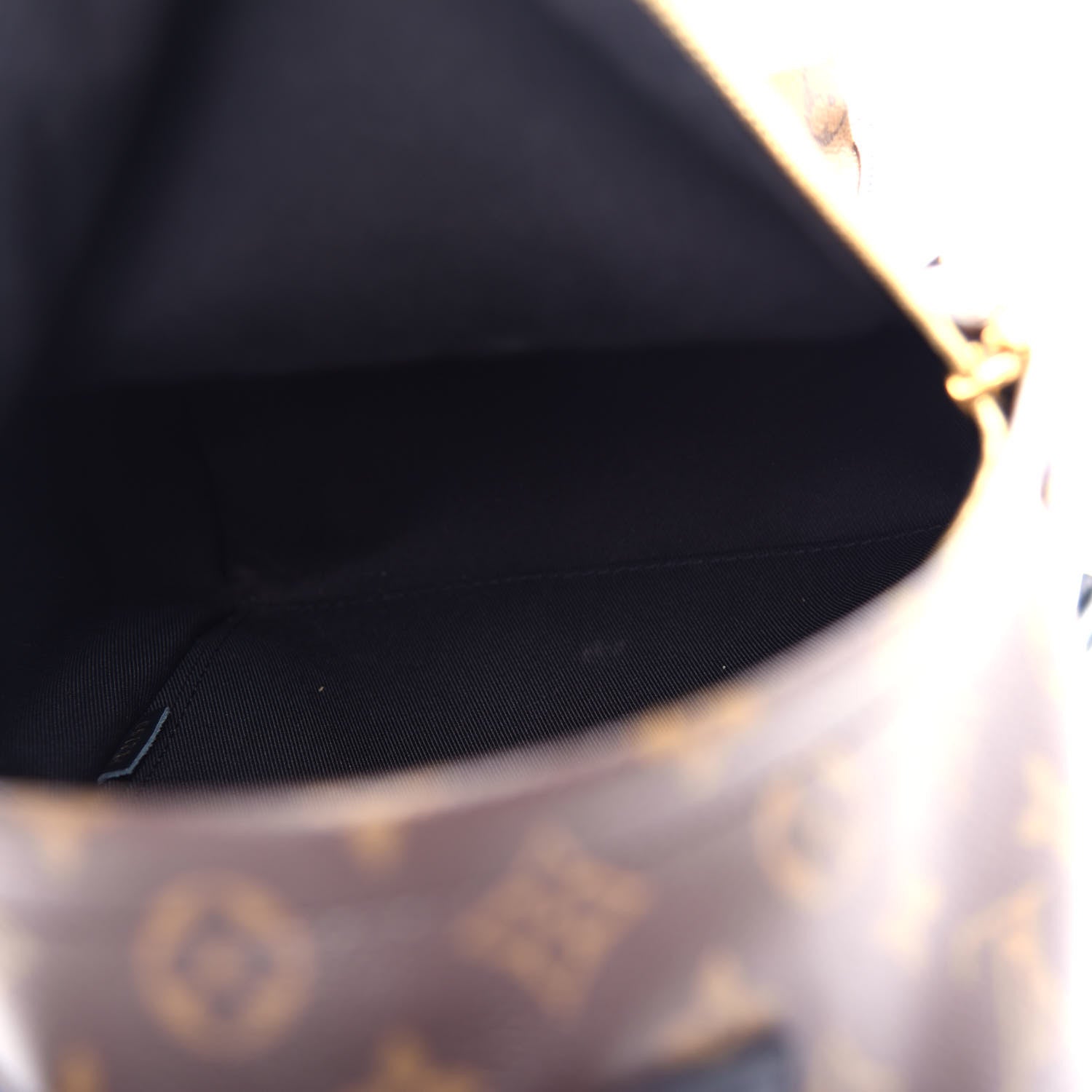 Louis Vuitton Reverse Monogram Palm Springs Backpack PM 5 of 12