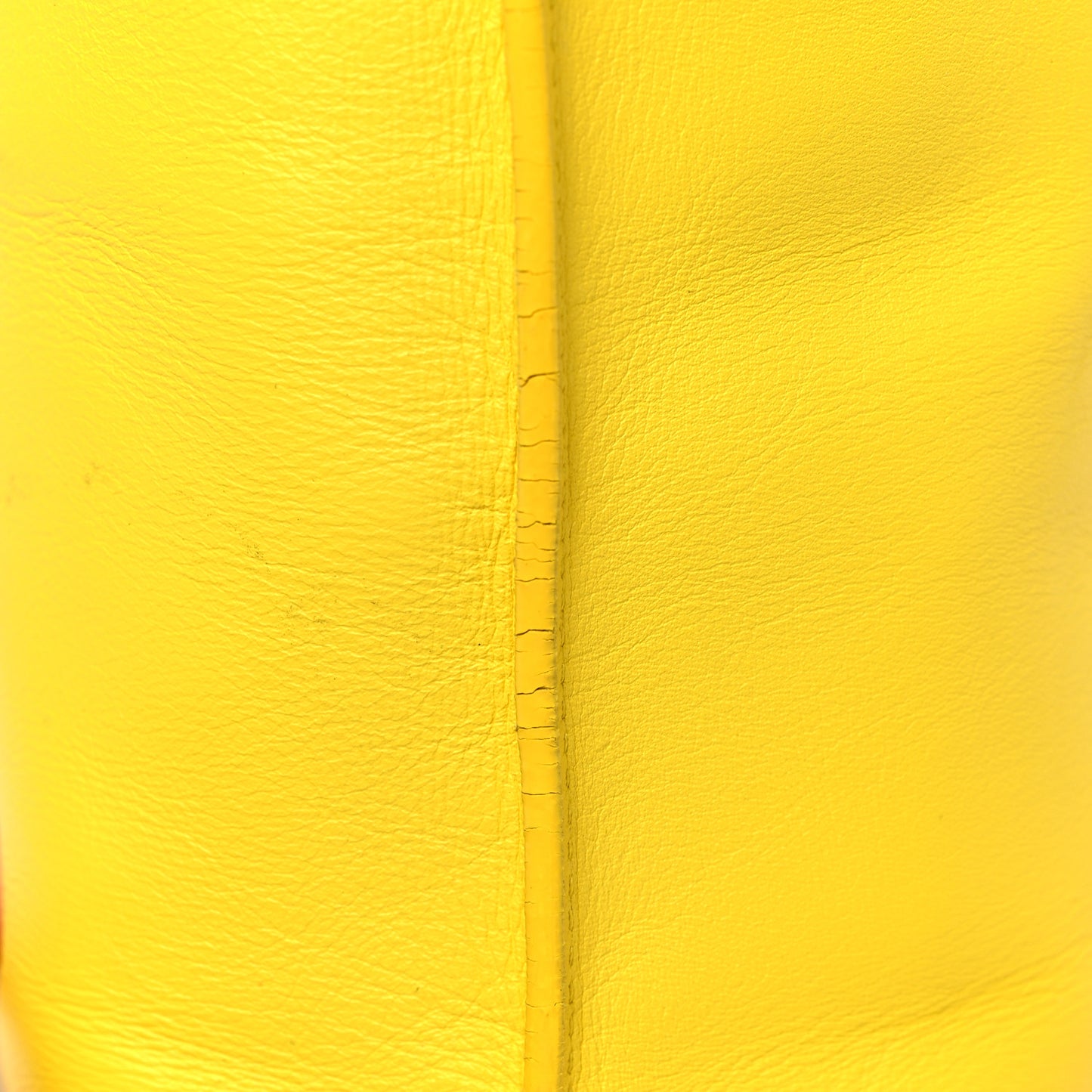 Calfskin Embossed Logo North South Shopper Tote