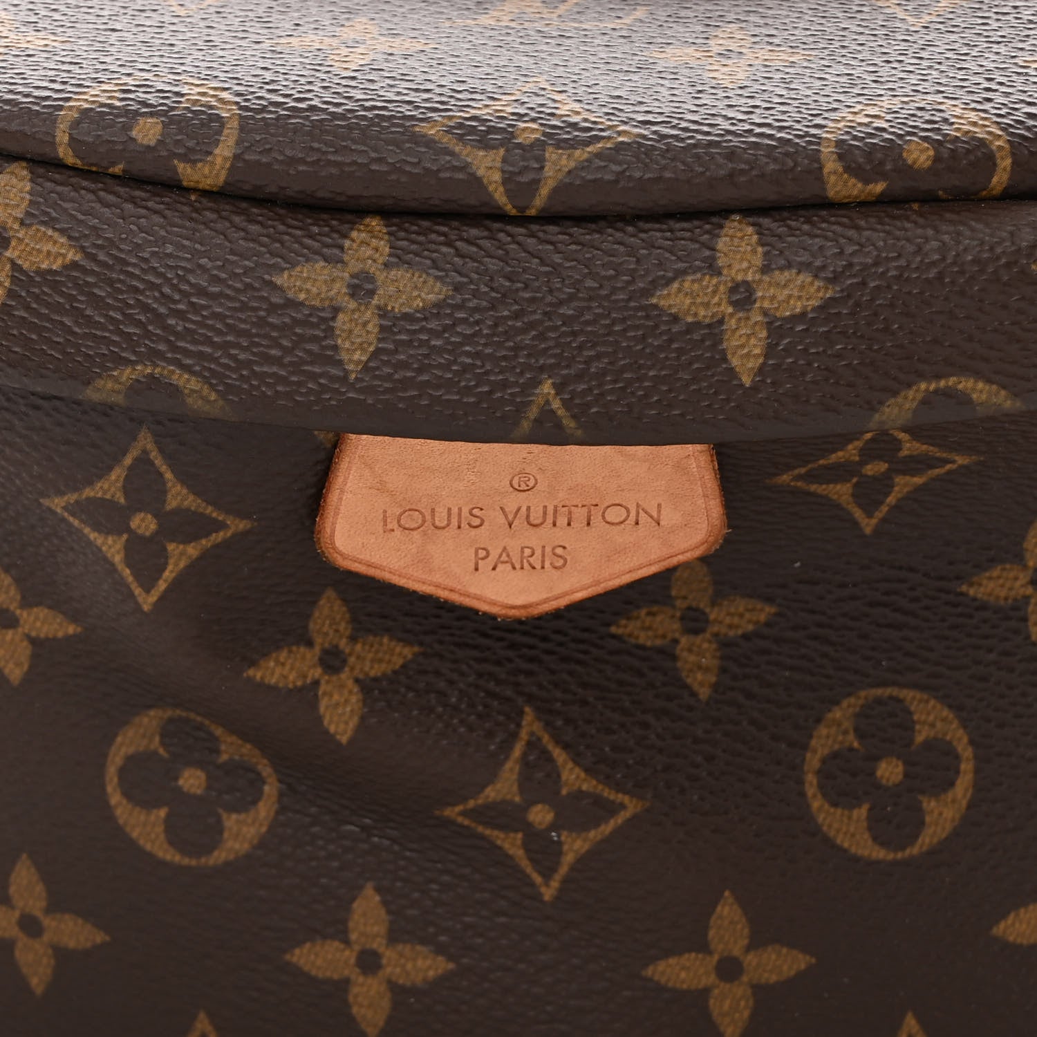 Louis Vuitton Monogram Bumbag 7 of 11