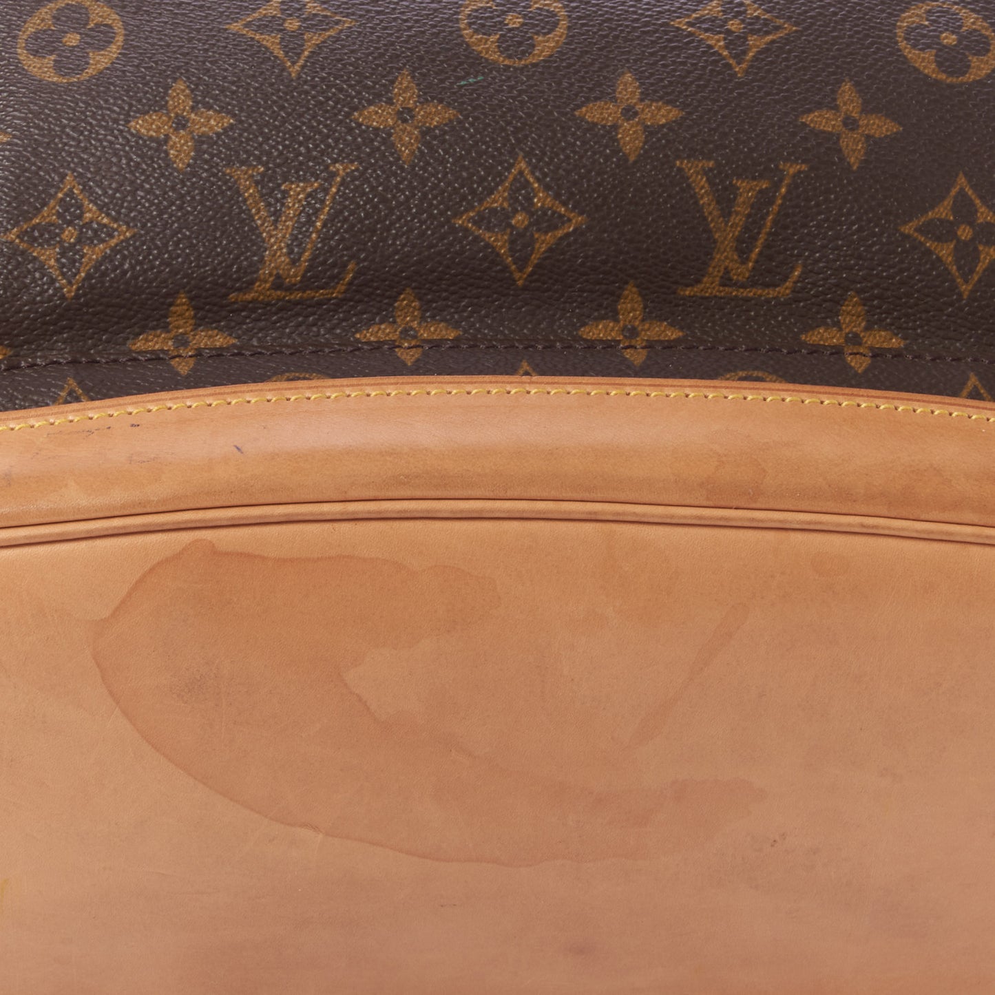 Monogram Montsouris GM Backpack
