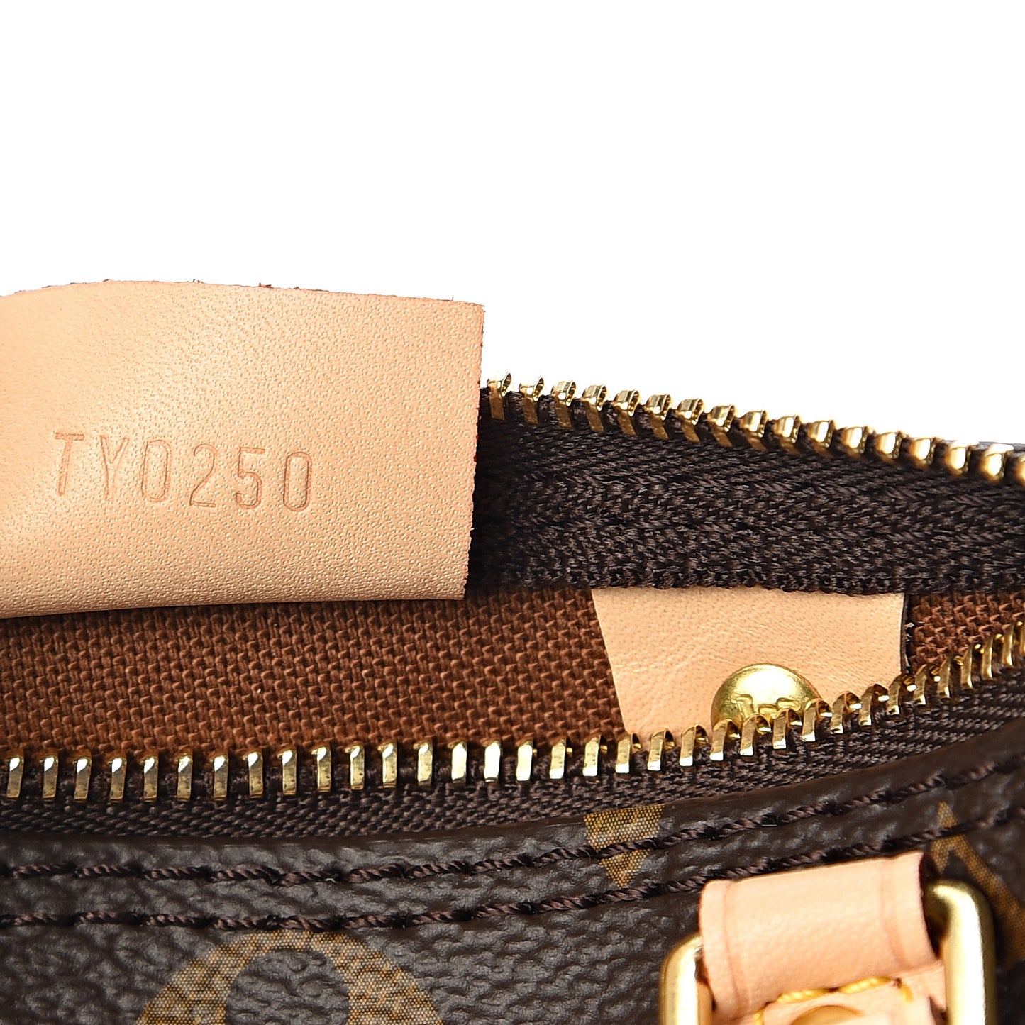 Monogram Nano Speedy