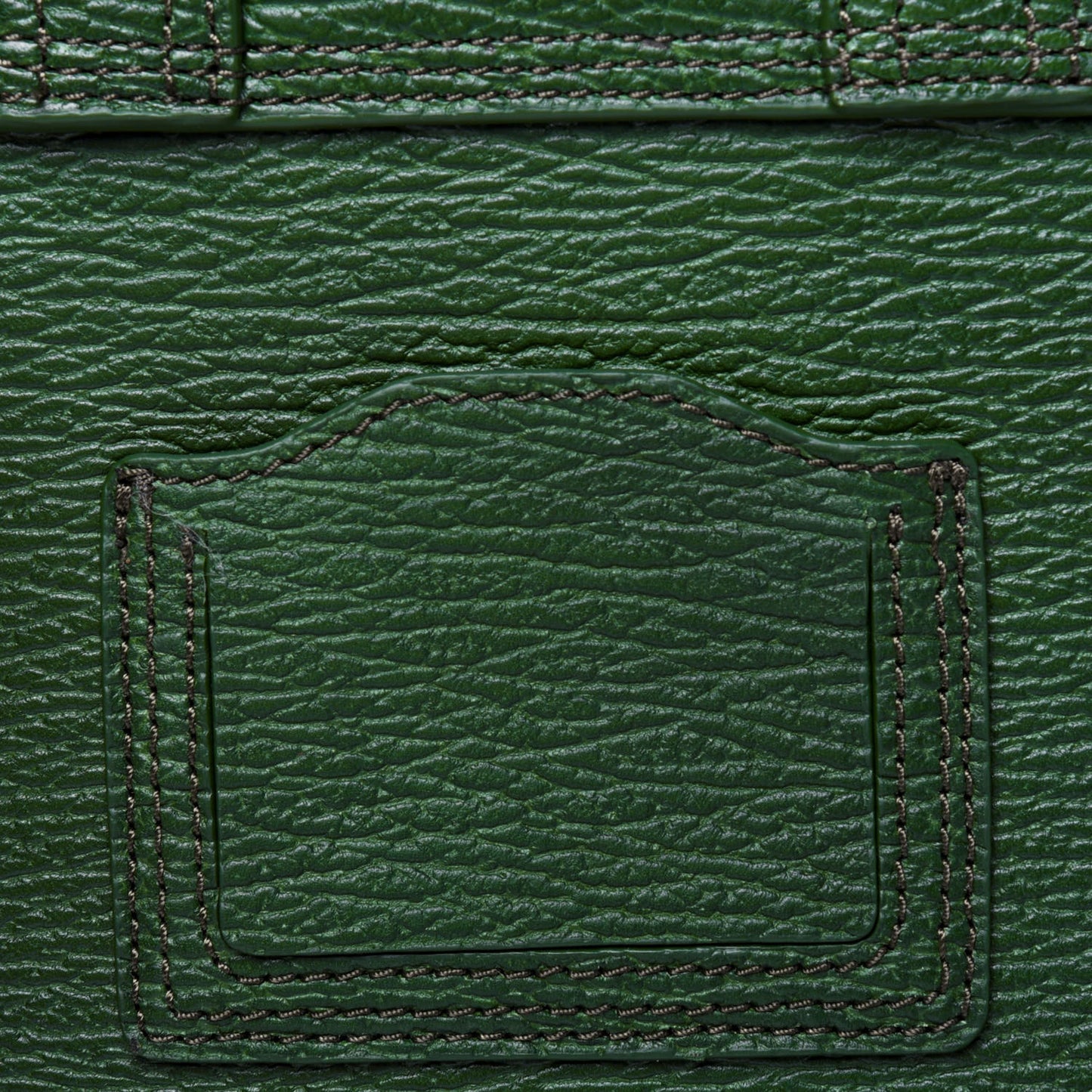 Textured Calfskin Pashli Backpack Jade