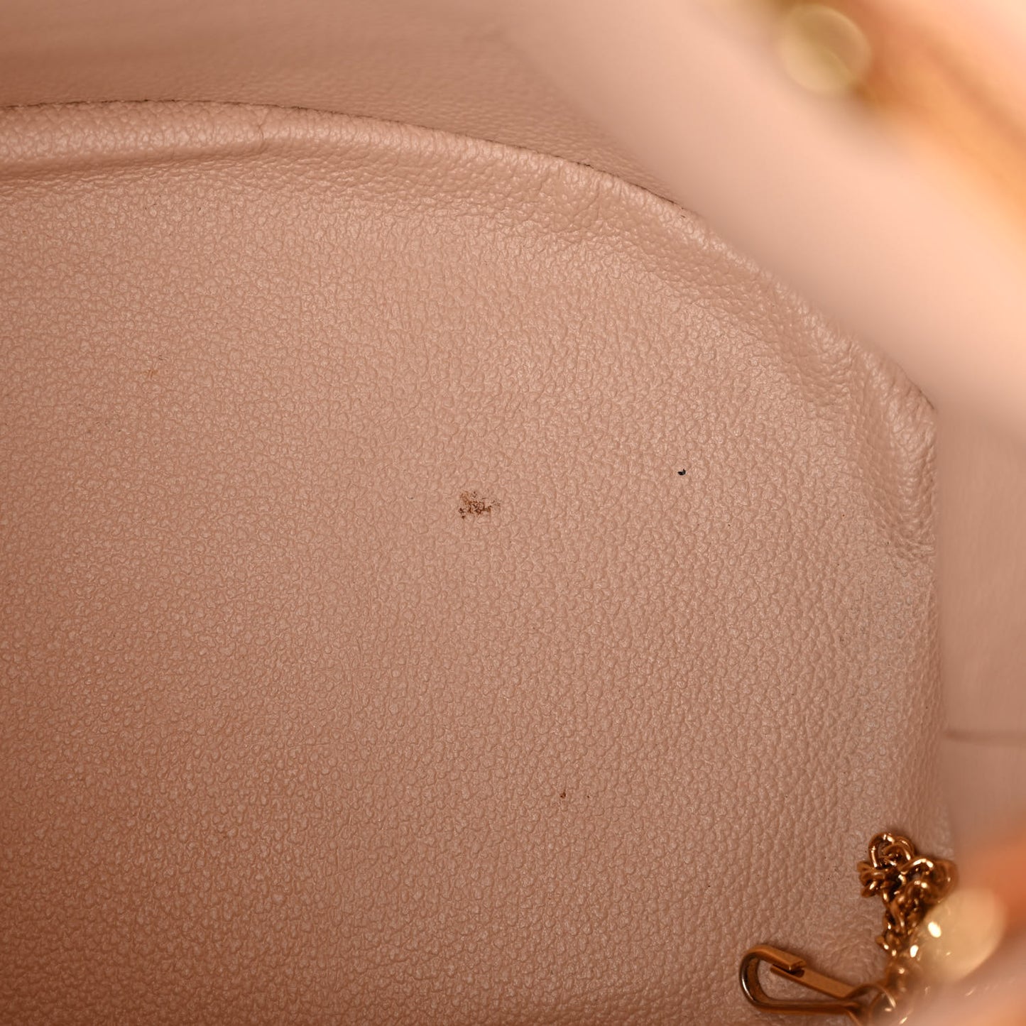 Monogram Petit Bucket 23