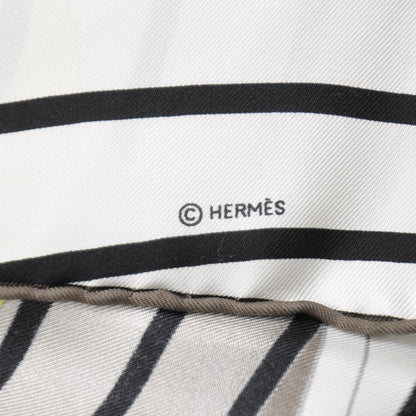 Hermes Silk H2O Scarf 90 5 of 5