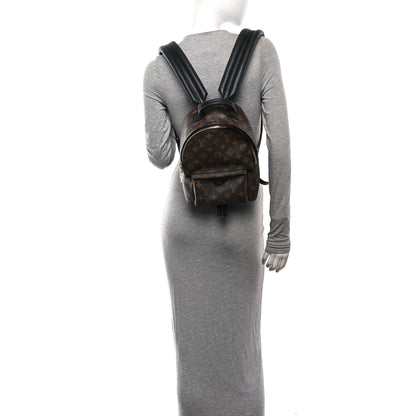 Louis Vuitton Monogram Palm Springs Backpack PM 2 of 11