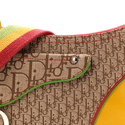 Christian Dior Monogram Rasta Double Saddle Beige Saddle Beige 8 of 11