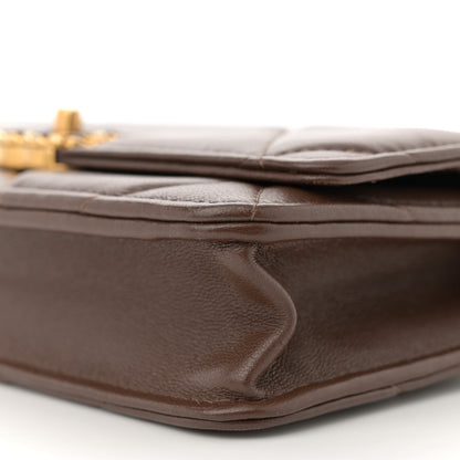 Chanel Lambskin Quilted Chanel 19 Wallet On Chain WOC Brown 10 of 12