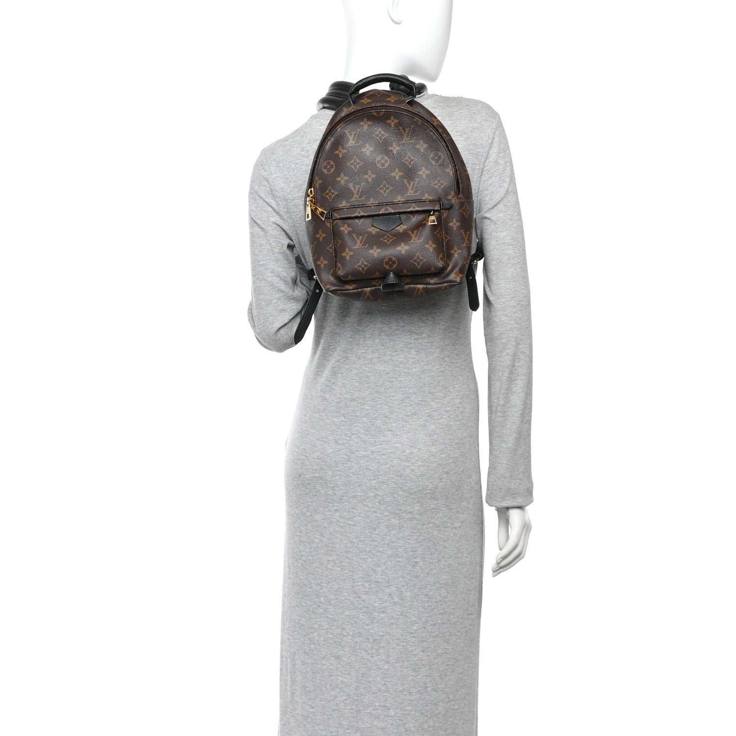 Louis Vuitton Monogram Palm Springs Backpack PM 2 of 9