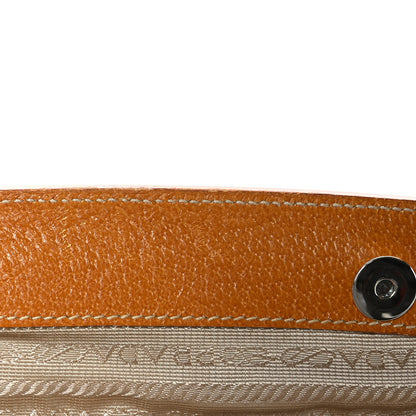 Prada Paglia Cinghiale Frame Bag Naturale Cuoio 10 of 10