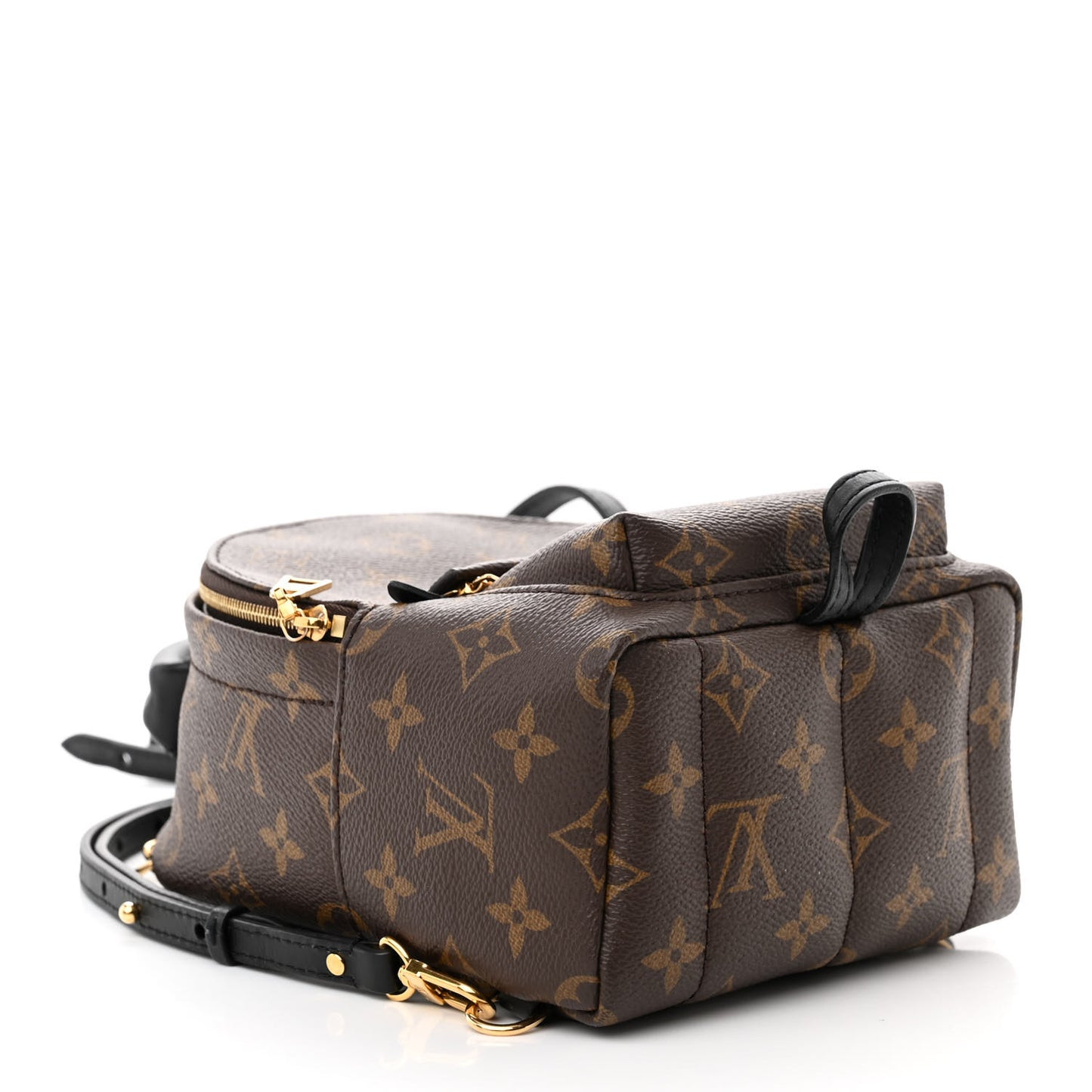 Monogram Palm Springs Backpack Mini