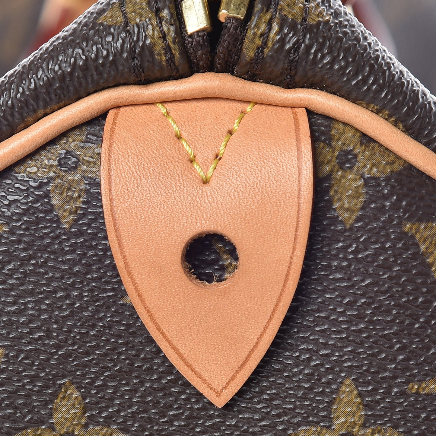 Monogram Speedy 30