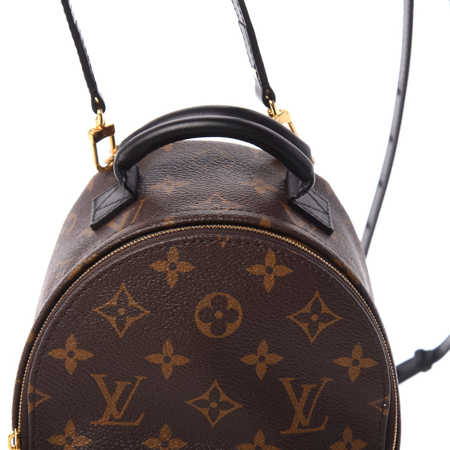 Monogram Palm Springs Backpack Mini