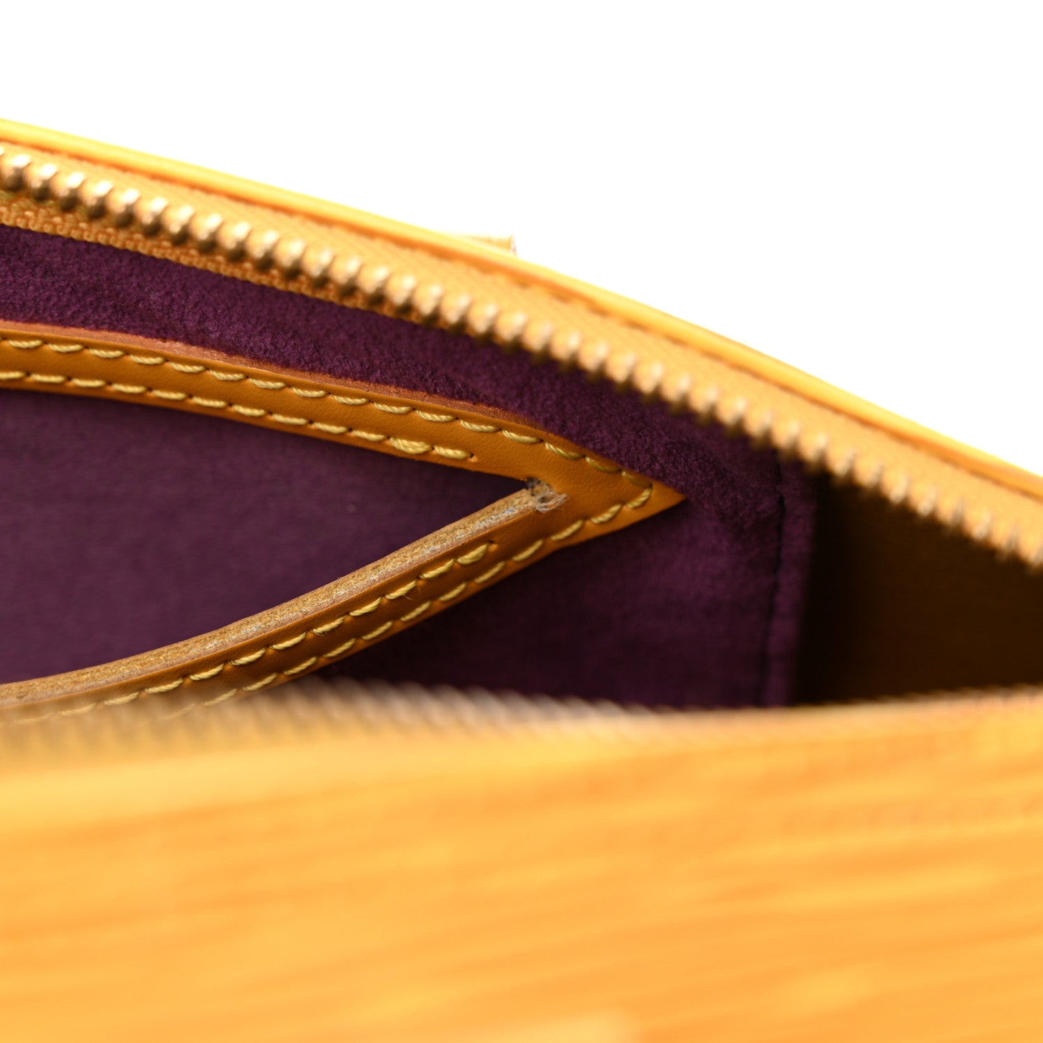 Louis Vuitton Epi Speedy 25 Tassil 12 of 13