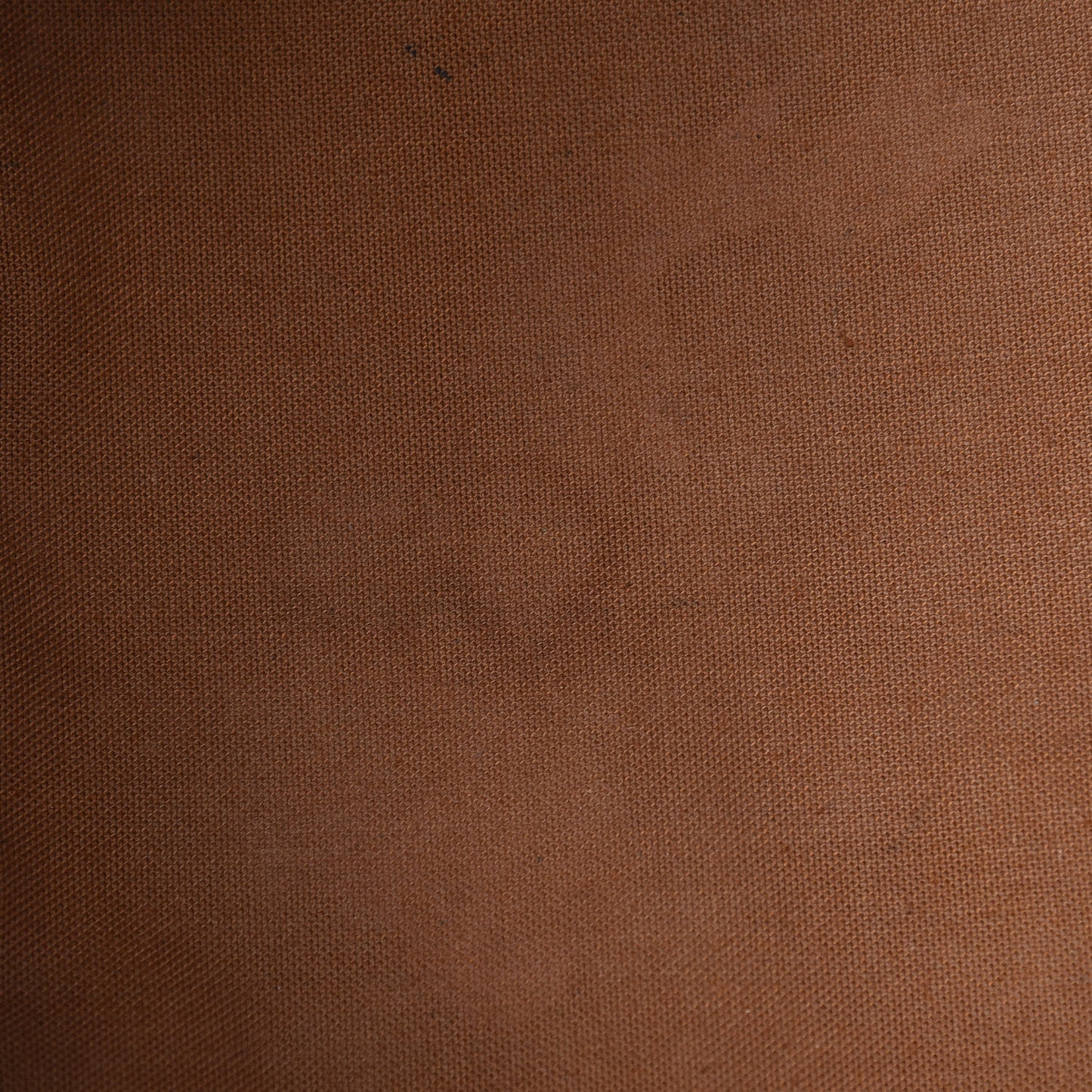 Monogram Petit Noe