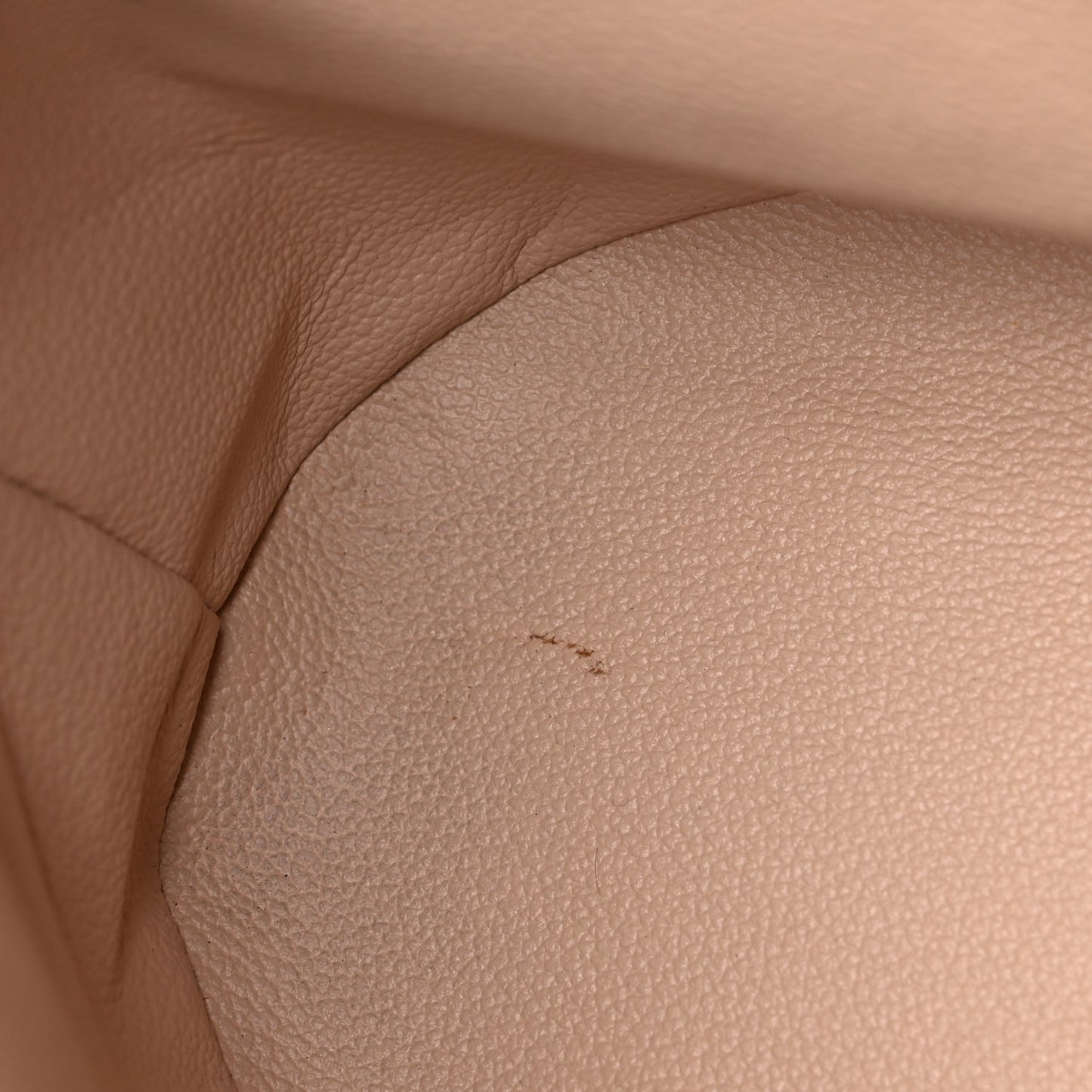 Monogram Petit Bucket 23