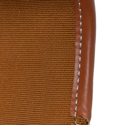 Celine Canvas Calfskin Triomphe Mini Besace Tan 11 of 11