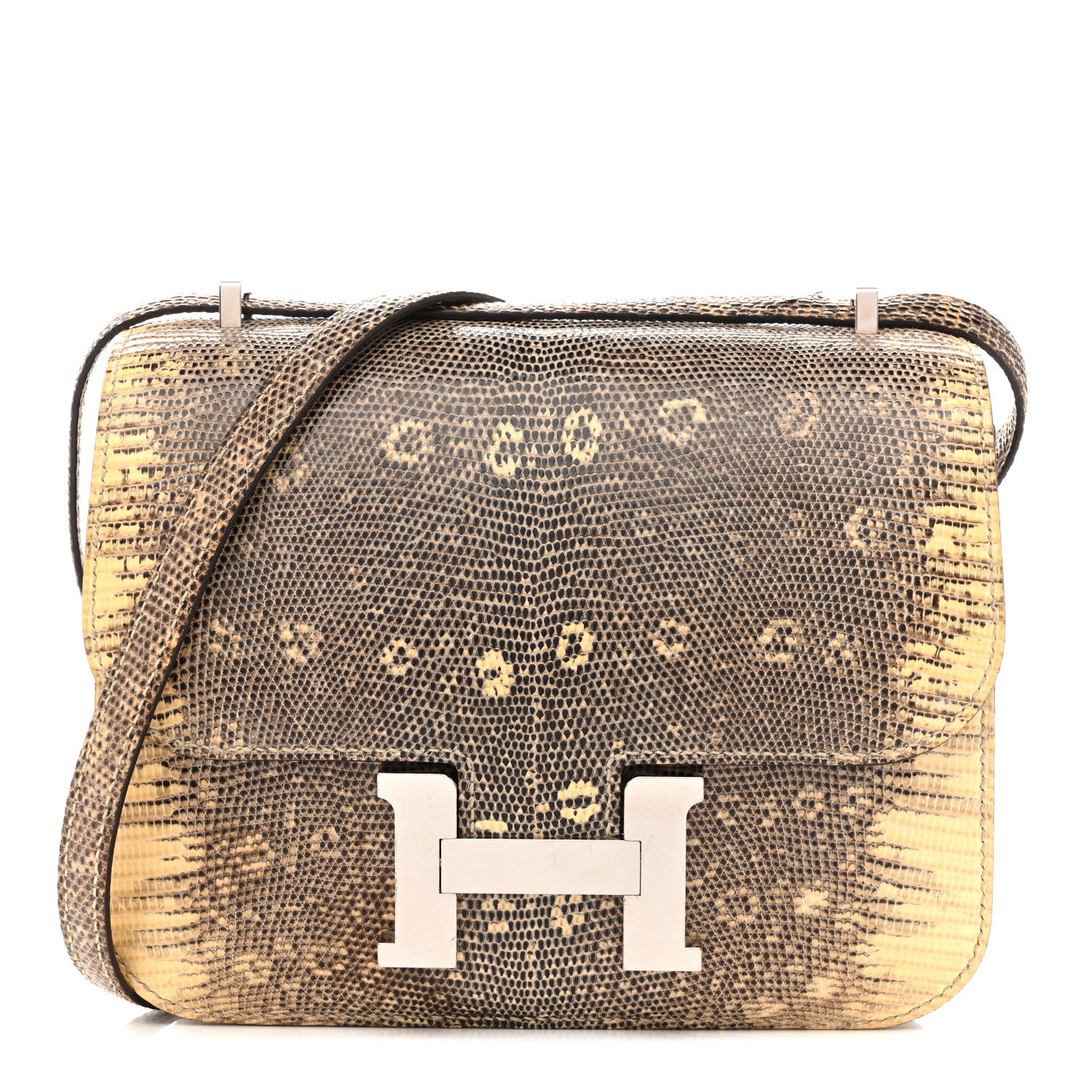 Hermes Lizard Constance 18 Ombre 1 of 15