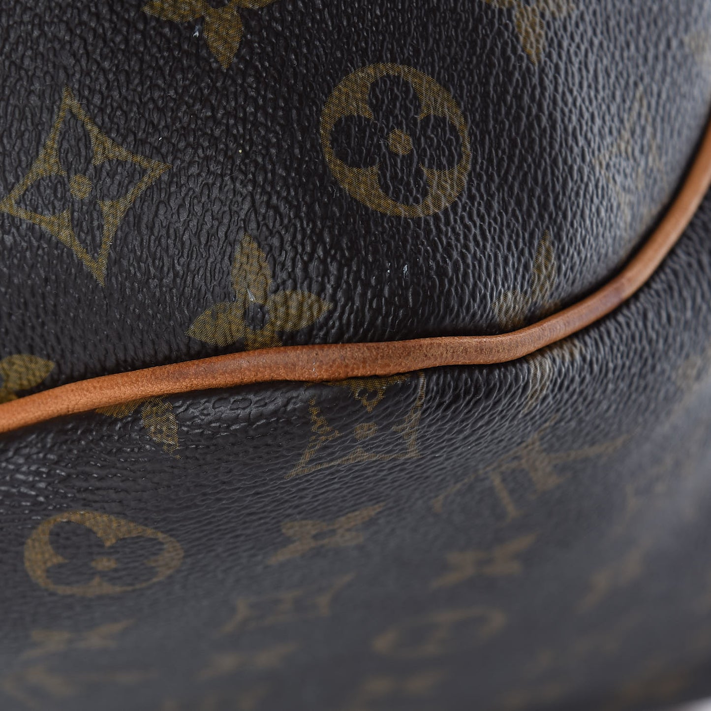 Monogram Delightful PM